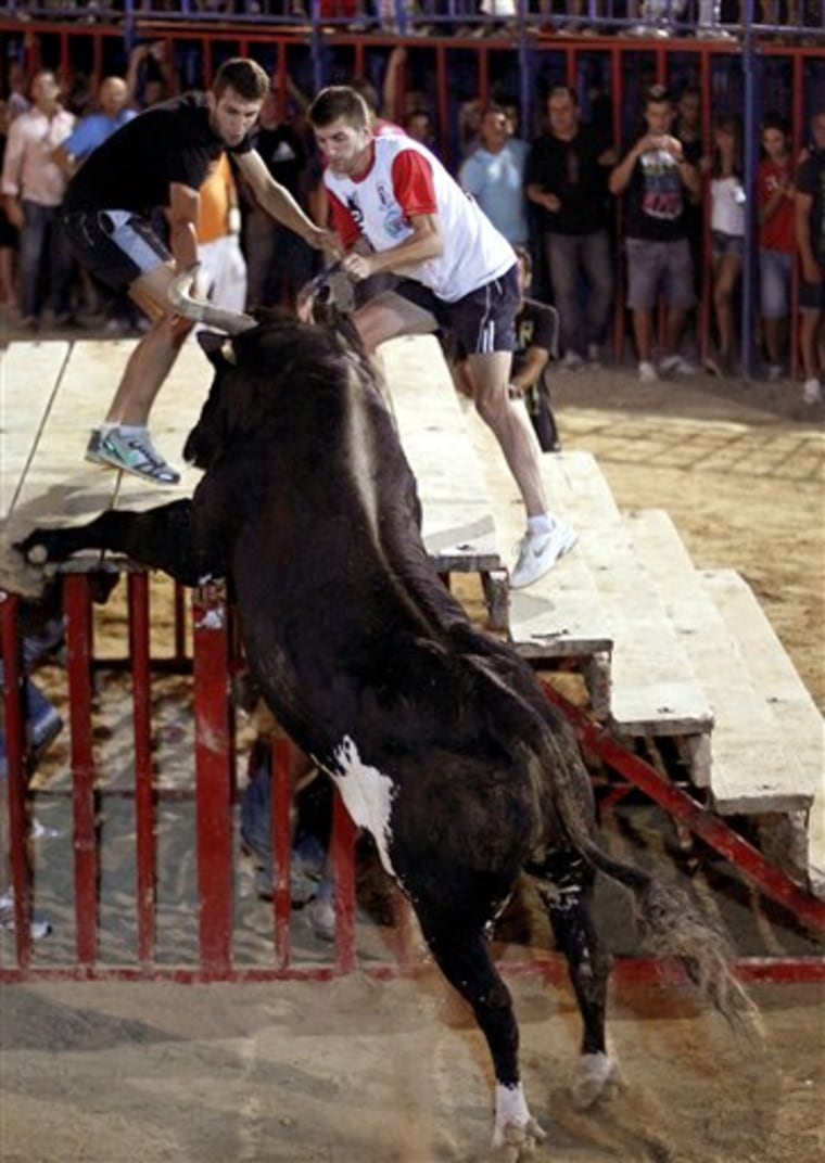 A reveler runs away from 'Raton' the killer bull on Sunday, during a festivity in Sueca, near Valencia, Spain. The hulking beast has killed two people in the arena and injured five others over the years. Nobody was killed this time.